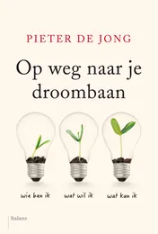 Omslag van Op weg naar je droombaan