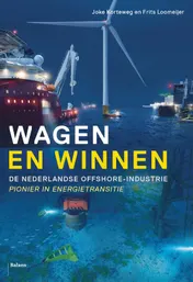 Omslag van Wagen en winnen