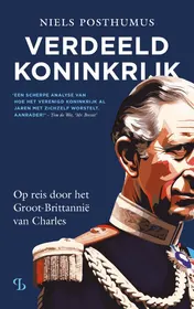 Omslag van Verdeeld Koninkrijk