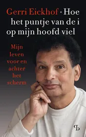 Omslag van Hoe het puntje van de i op mijn hoofd viel