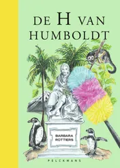Omslag van De H van Humboldt