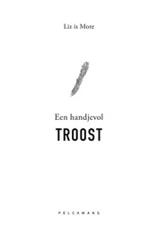 Omslag van Een handjevol troost