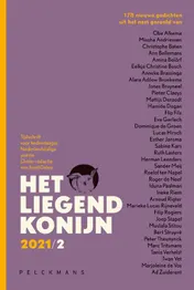 Omslag van Het Liegend Konijn (jg. 19 nr. 2)