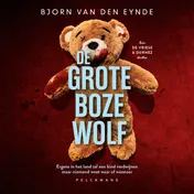 Omslag van De grote boze wolf