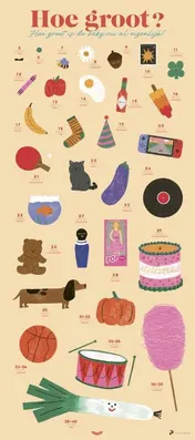 Omslag van Poster Babygroeiposter