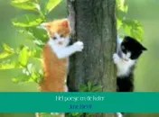Omslag van Het poesje en de kater