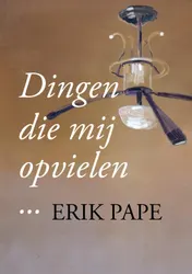 Omslag van Dingen die mij opvielen