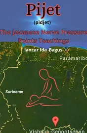 Omslag van PIJET JAVANESE MASSAGE NERVE PRESSURE POINTS DOCTRINE
