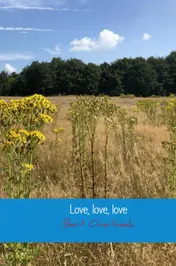 Omslag van Love, love, love