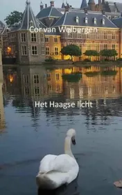 Omslag van Het Haagse licht