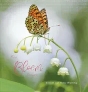 Omslag van Een bloem lezen