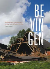 Omslag van Bevingen