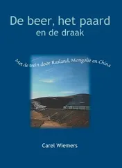 Omslag van De beer, het paard en de draak