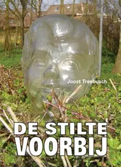 Omslag van De stilte voorbij