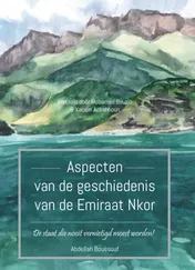 Omslag van Aspecten van de geschiedenis van de Emiraat Nkor