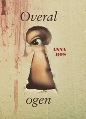 Omslag van Overal ogen