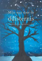 Omslag van Mijn weg door de duisternis