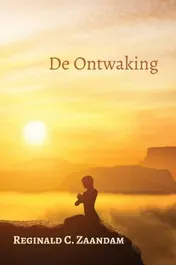 Omslag van De Ontwaking