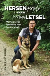 Omslag van Hersenspinsels door hersenletsel