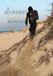 Omslag van A Hundred Golden Horses