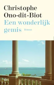 Omslag van Een wonderlijk gemis