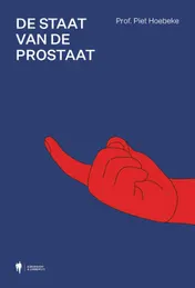 Omslag van De staat van de prostaat