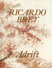 Omslag van Ricardo Brey