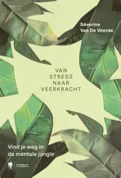 Omslag van Van stress naar veerkracht