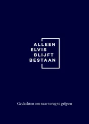 Omslag van Alleen Elvis blijft bestaan
