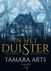 Omslag van In het Duister