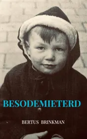 Omslag van Besodemieterd