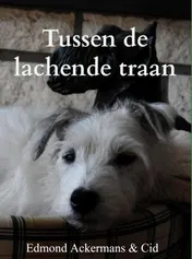 Omslag van Tussen de lachende traan