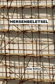 Omslag van Hersenbeletsel