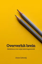 Omslag van Oververhit brein