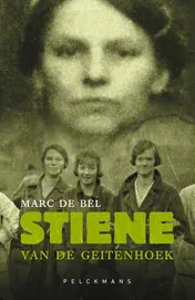 Omslag van Stiene Van De Geitenhoek