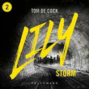 Omslag van Storm