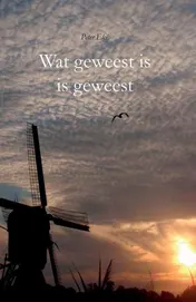 Omslag van Wat geweest is is geweest