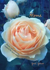Omslag van Home