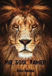 Omslag van Mr. Soul Tamer
