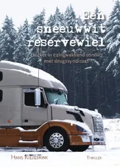 Omslag van Een sneeuwwit reservewiel