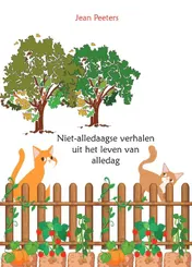 Omslag van Niet-alledaagse verhalen uit het leven van alledag