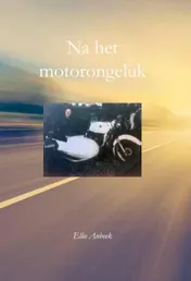 Omslag van Na het motorongeluk