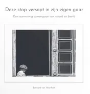 Omslag van Deze stap versopt in zijn eigen gaar