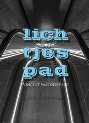 Omslag van Lichtjespad
