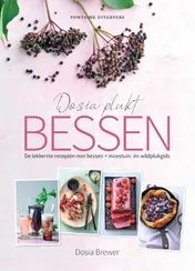Omslag van Dosia plukt bessen