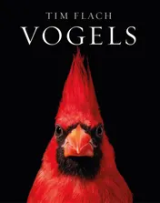 Omslag van Vogels