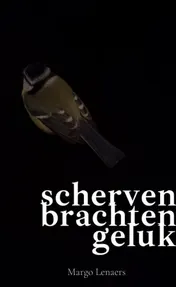 Omslag van scherven brachten geluk