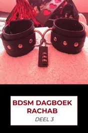 Omslag van BDSM dagboek rachab deel 3