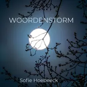 Omslag van Woordenstorm