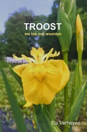 Omslag van Troost
